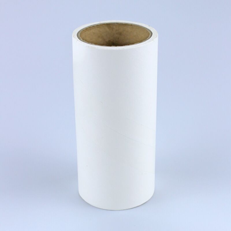 Mini Hand-held Multi-Purpose Dust Roller
