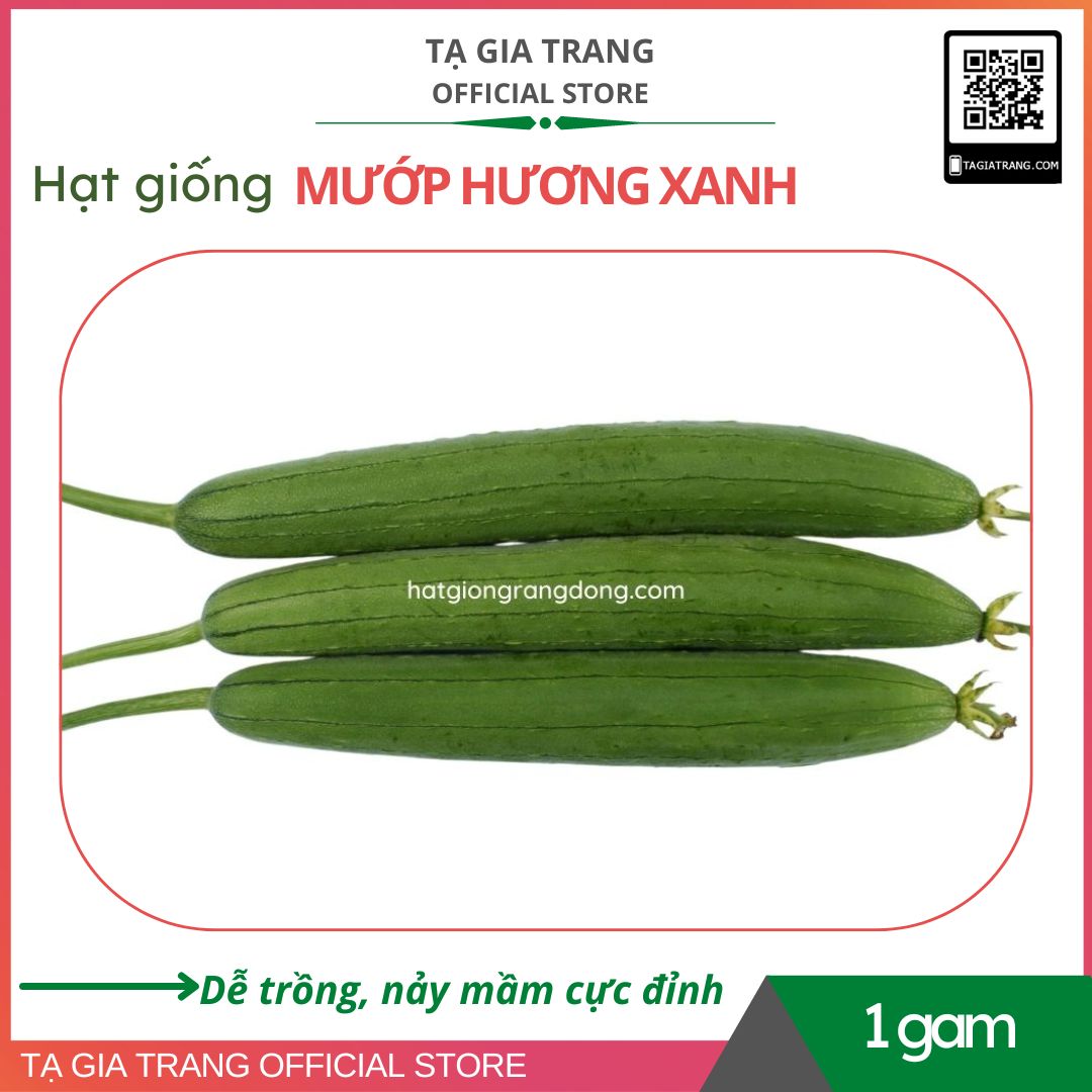 Hạt giống mướp hương xanh lai f1 - gói 1g