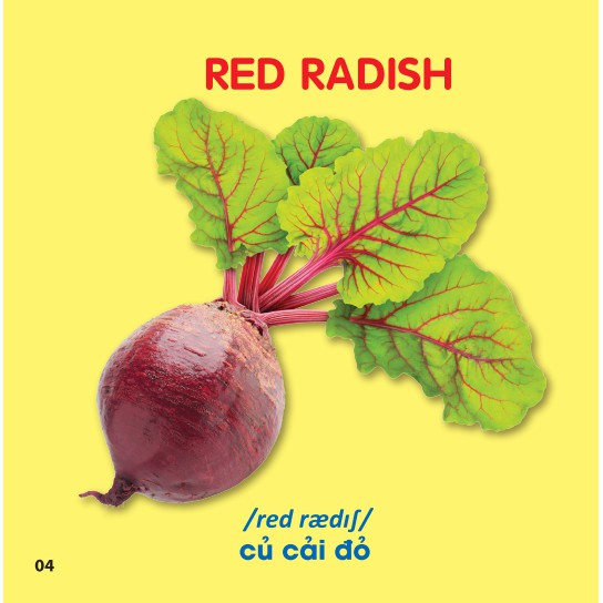 Sách - Bách Khoa Toàn Thư Cho Bé - Rau, Củ, Quả (Bìa cứng) 30k