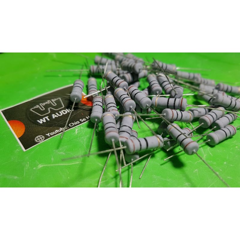 10 cái điện trở 10 ohm 2W