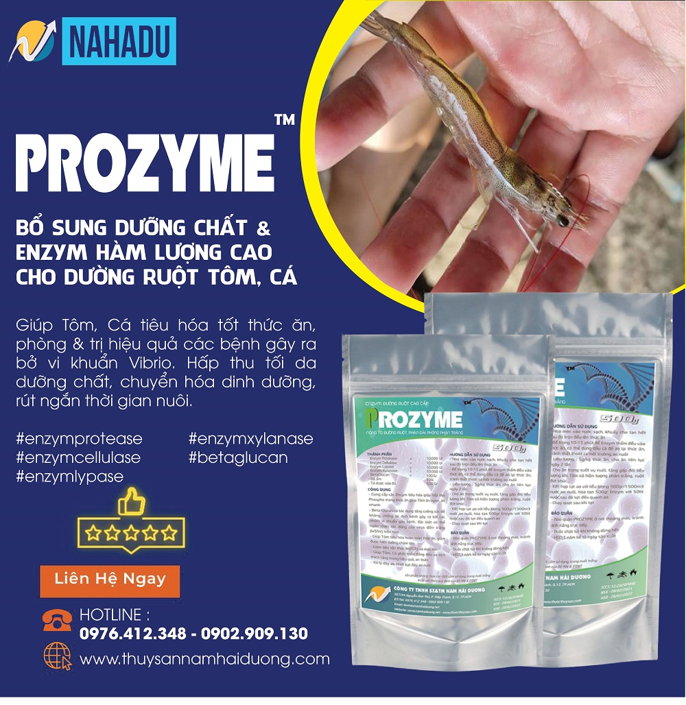 ENZYM TIÊU HÓA CHO TÔM PROZYME - THÙNG 2 TÚI 500GR
