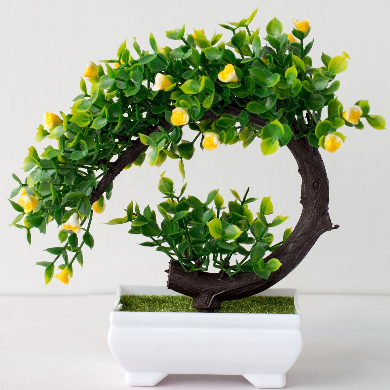 [HCM]Chậu Cây Bonsai Phú Quý - Vạn Sự Như Ý
