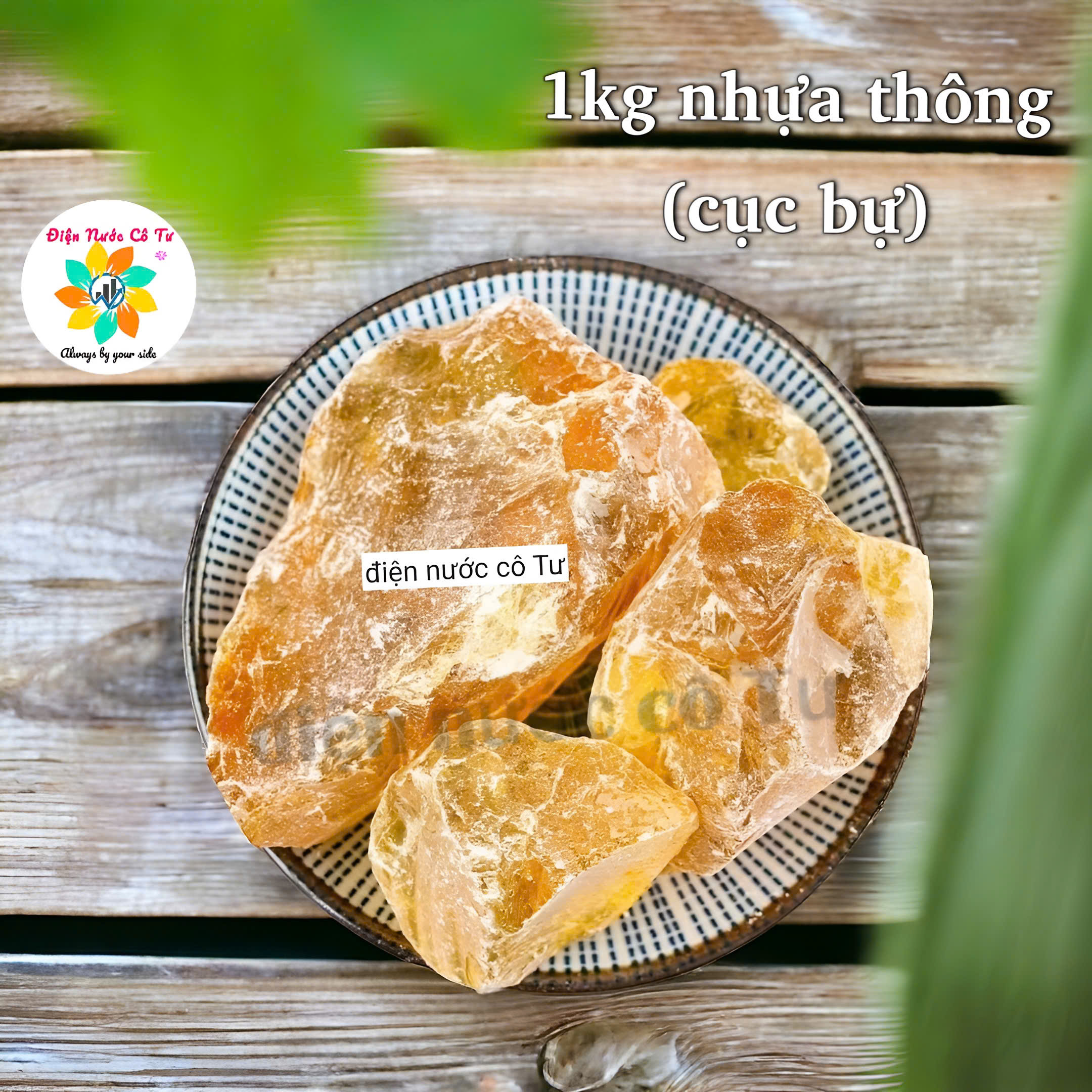 Nhựa thông 1kg loại cục LỚN