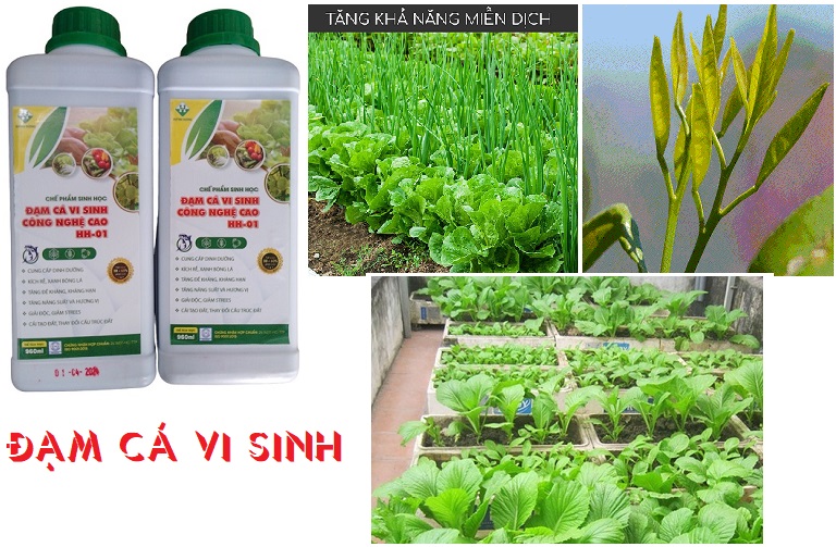 Phân Đạm Cá Vi Sinh _ Hữu cơ sinh học _ Chai 960ml