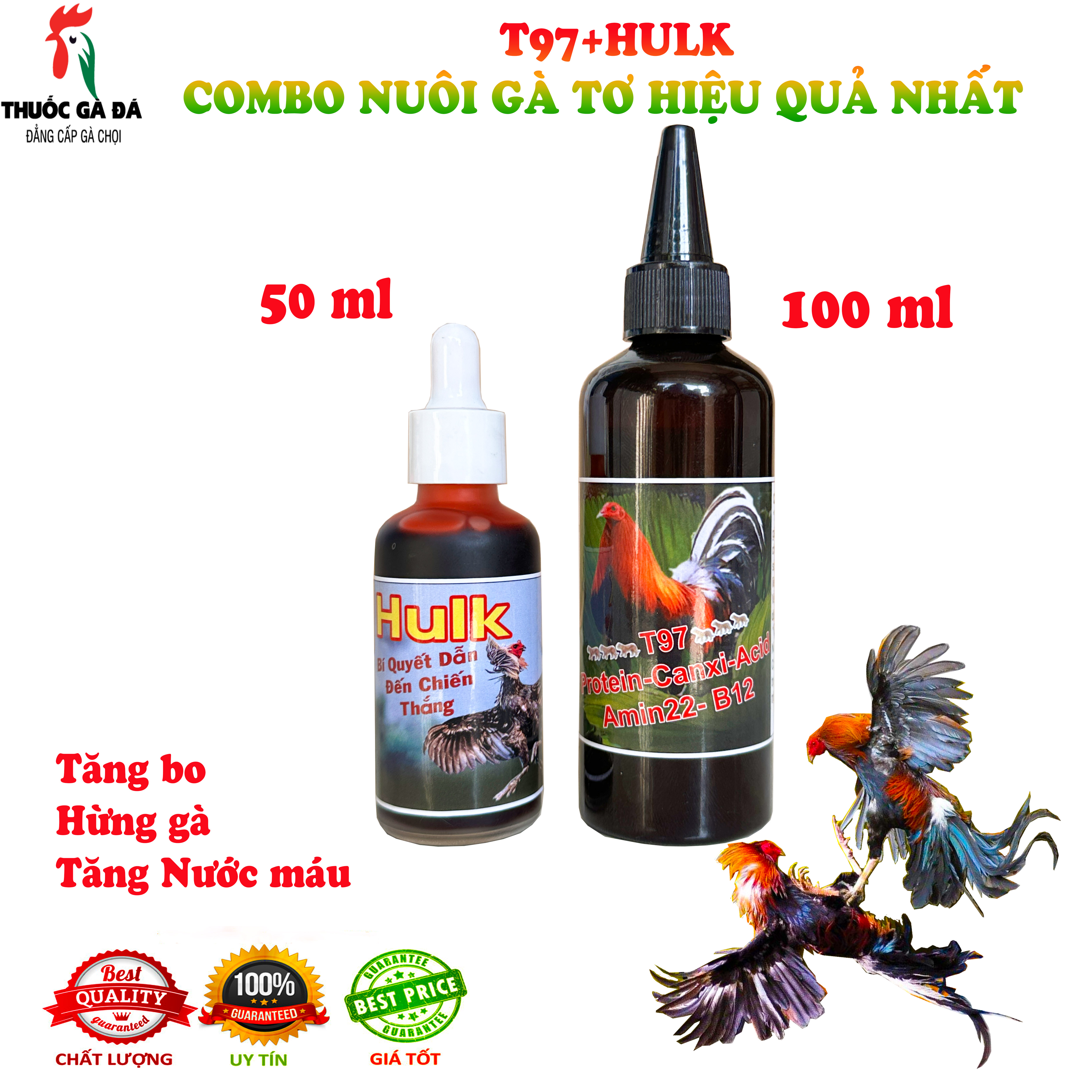 T97 nuôi gà tơ, chế độ nhanh lên tay cho gà