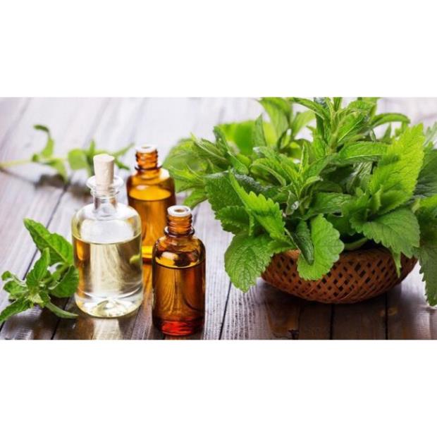 Tinh Dầu Bạc Hà nguyên chất(Tặng vỏ lọ treo xe ) : 50ml-100ml