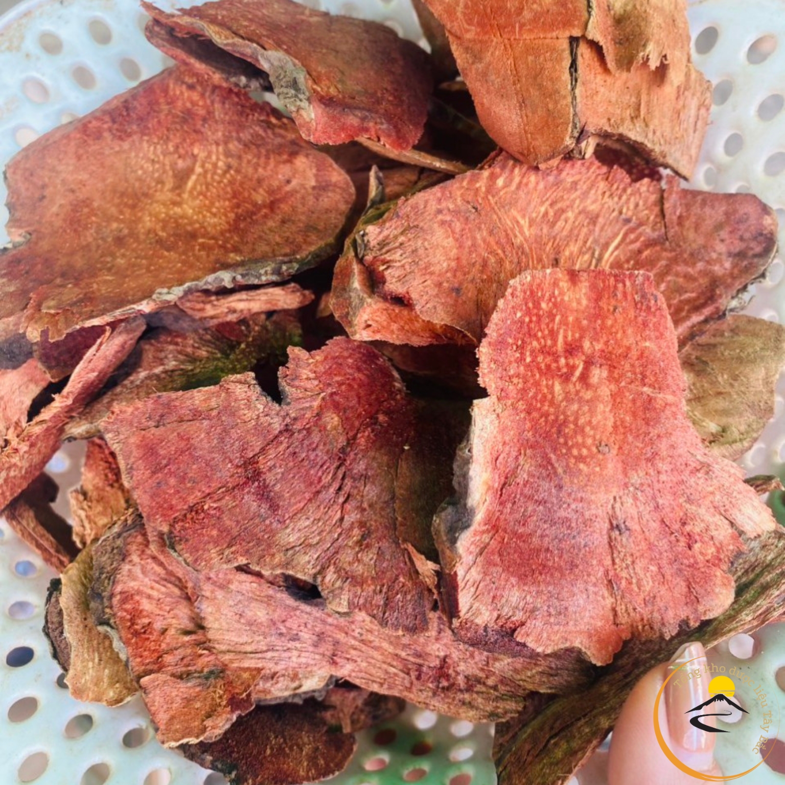 Thổ phục linh, củ khúc khắc đỏ khô khai thác rừng phơi khô từ thổ phục linh, khúc khắc đỏ tươi