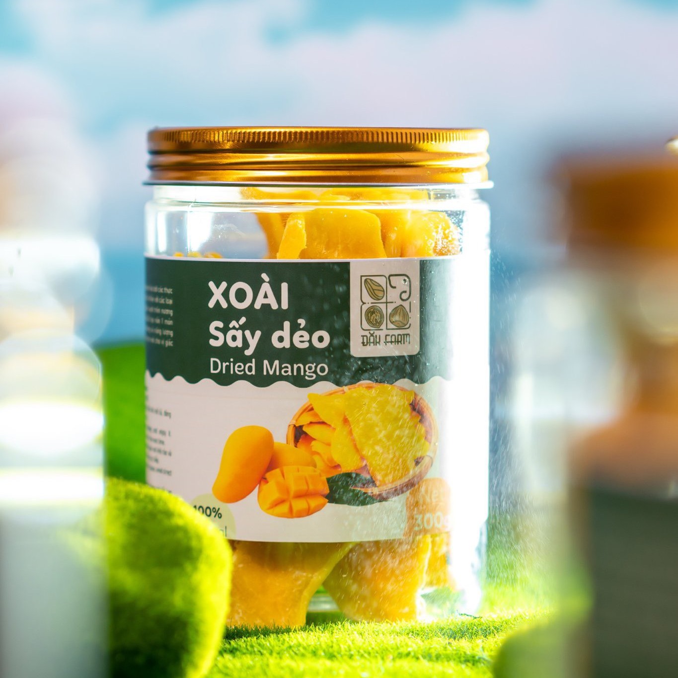 XOÀI SẤY DẺO- ĐẮK FARM (300Gr)