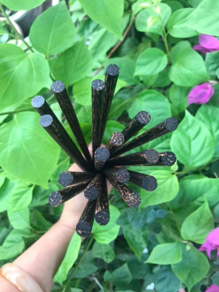 Đũa thốt nốt 10 đôi loại 1
