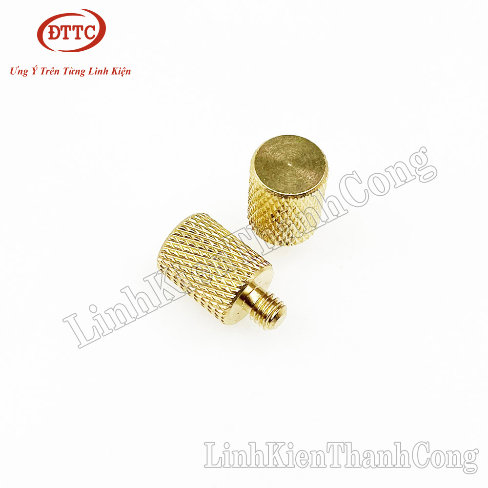 Cọc Đồng Bình Acquy Ren M5 M6 (1 Chiếc)