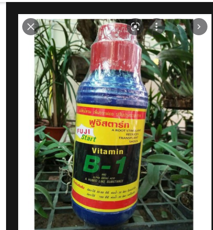 Phân bón - Vitamin B1 thái Lan Chai 1000ml