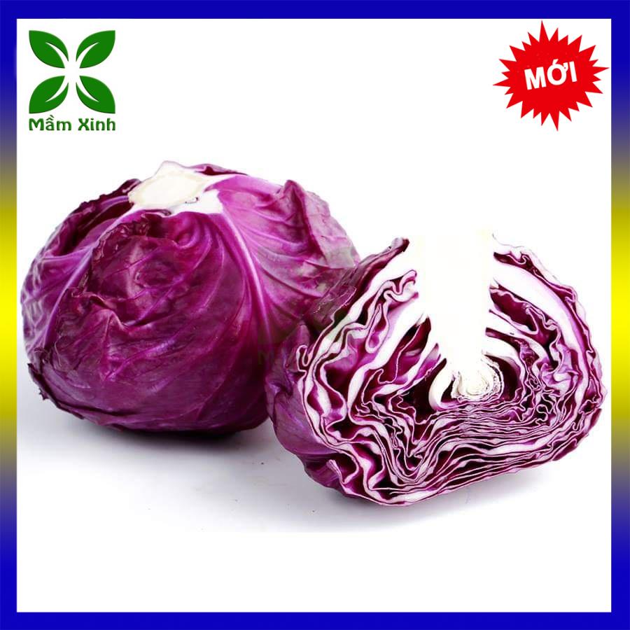 Hạt Giống Bắp Cải Tím Nhật Bản TN198 (Red Cabbage)
