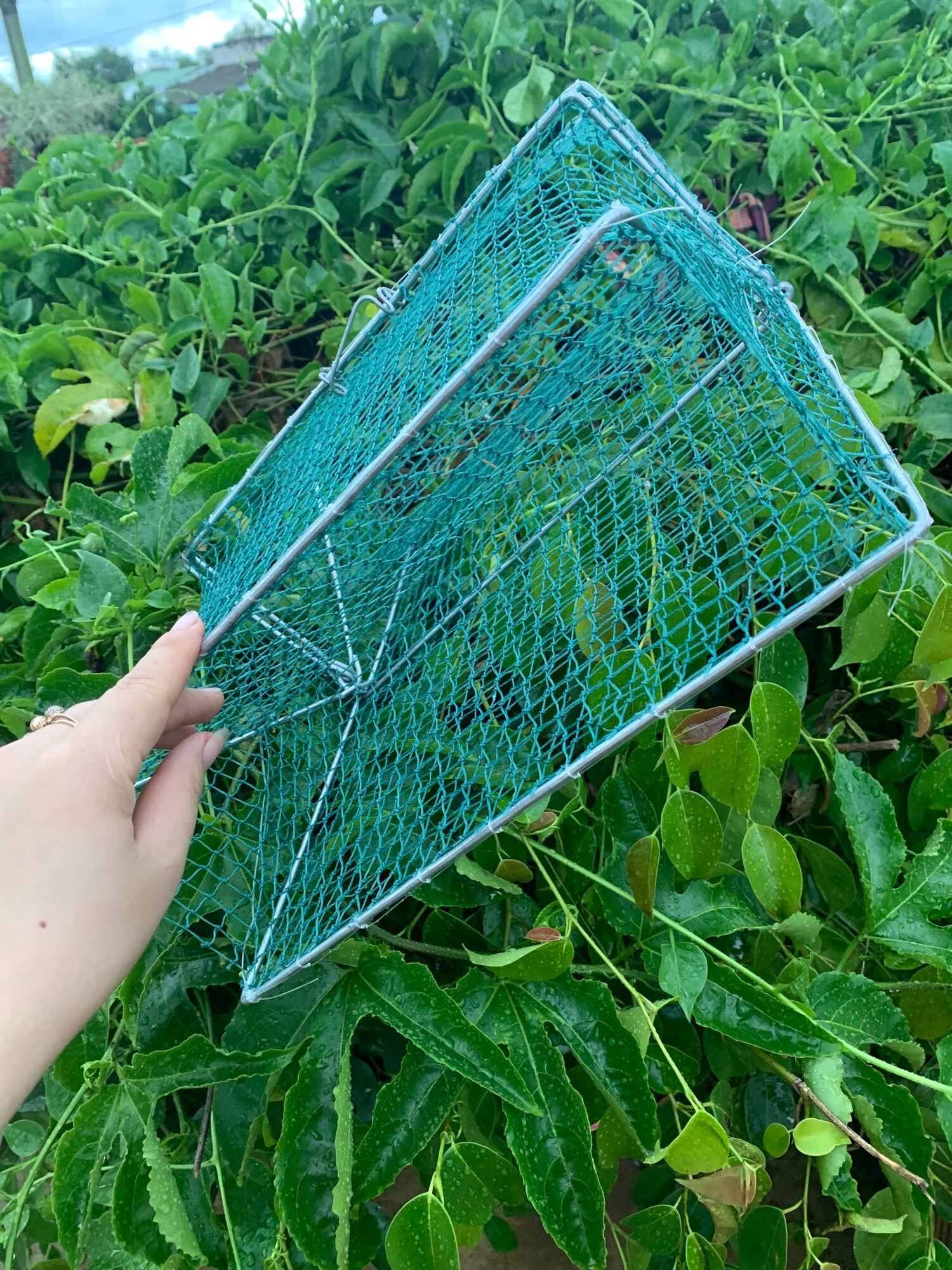 [Tặng Mồi ] Lồng bẫy cua hiệu quả