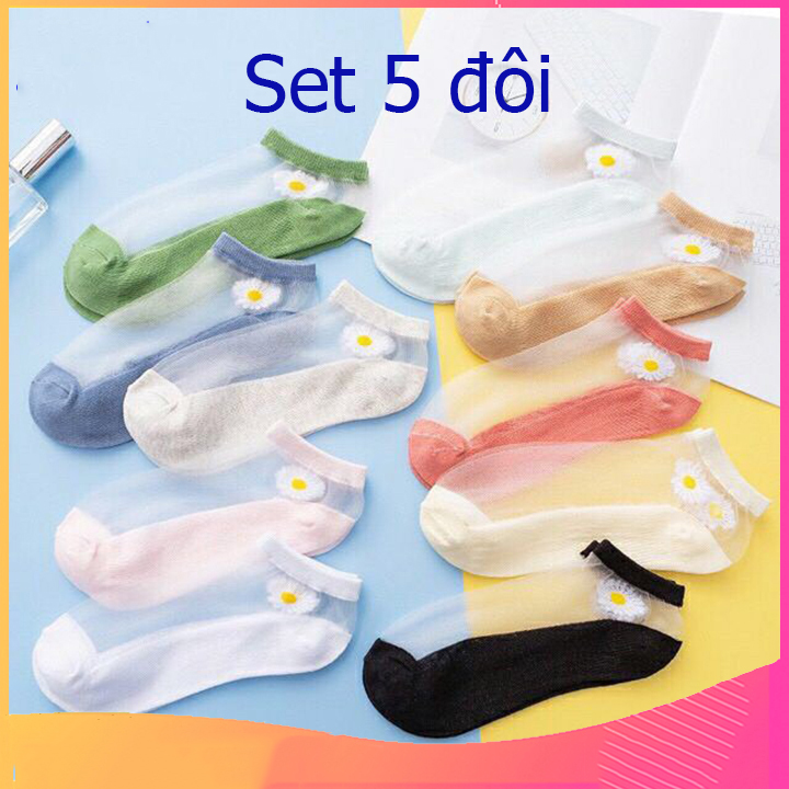 Tất Ren Lụa Hoa Cúc chất đẹp