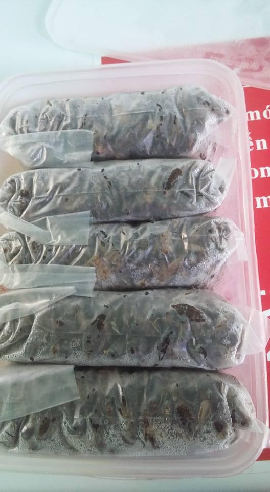 [HCM]Ổ TRỨNG DẾ