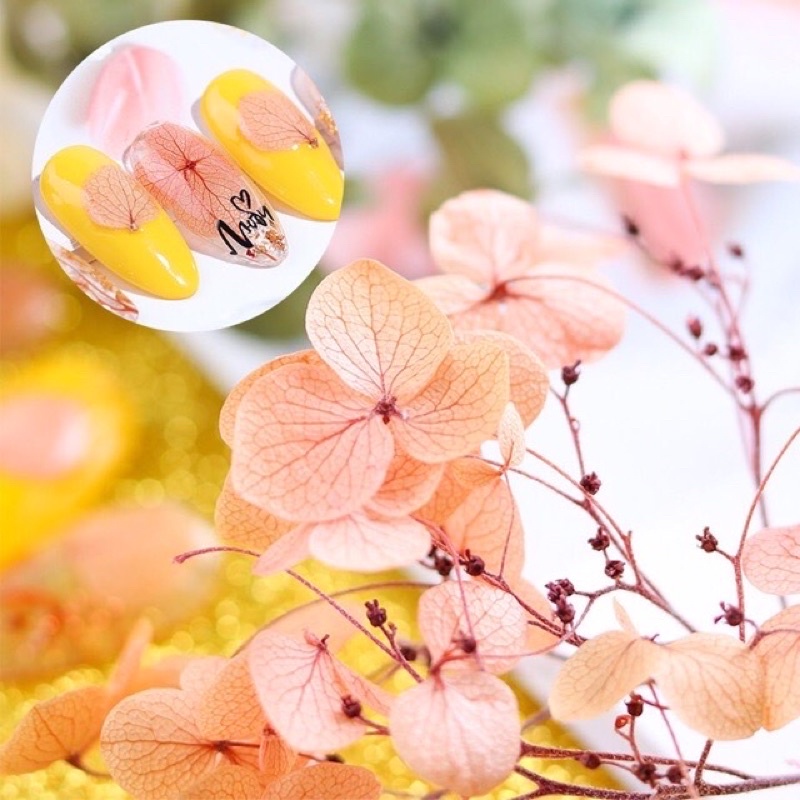 Hoa khô ẩn gel trang trí Nail siêu đẹp