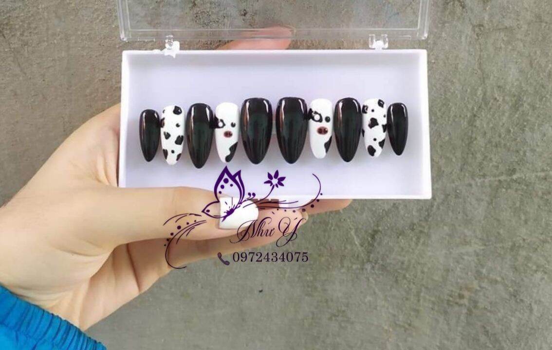 Bộ móng úp bò sữa
