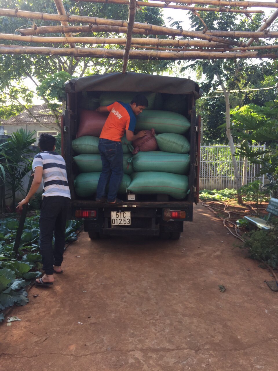 ( loai 1 ) Bột cà phê nguyên chất dưỡng da , tẩy da chết, đắp mặt , trắng da