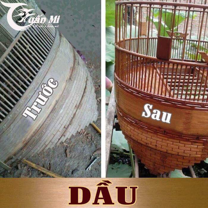 Dầu Ủ Lồng (Thương hiệu Tuấn Mi)