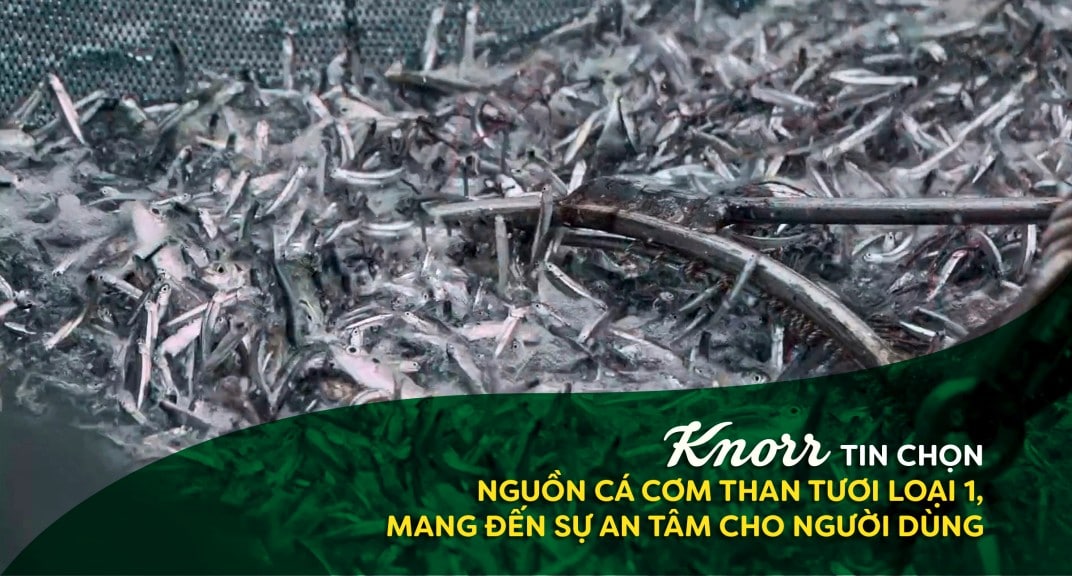Nước Mắm Cá Cơm Knorr 750ml/Chai