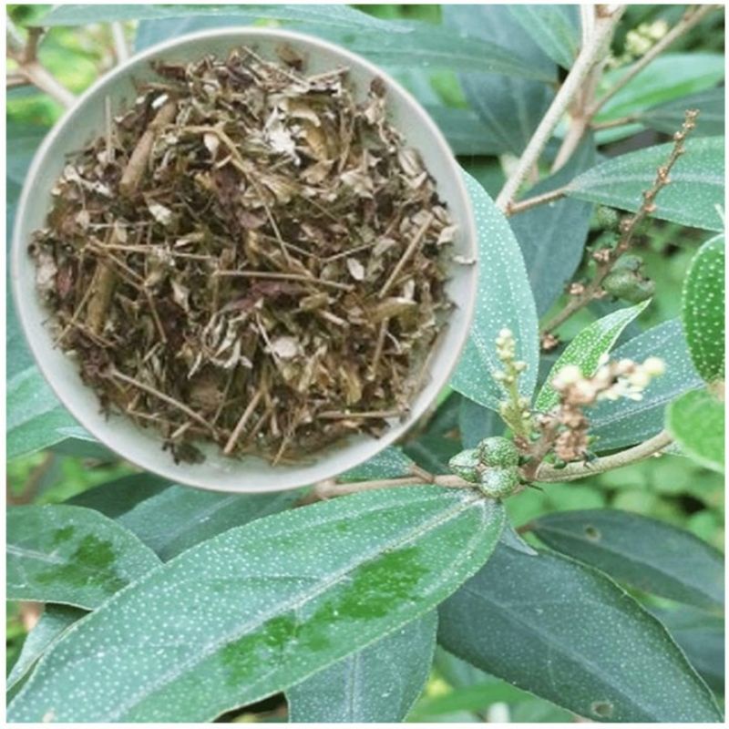 [ Shop Mới ] 1kg Khổ Sâm mới, khô, sạch