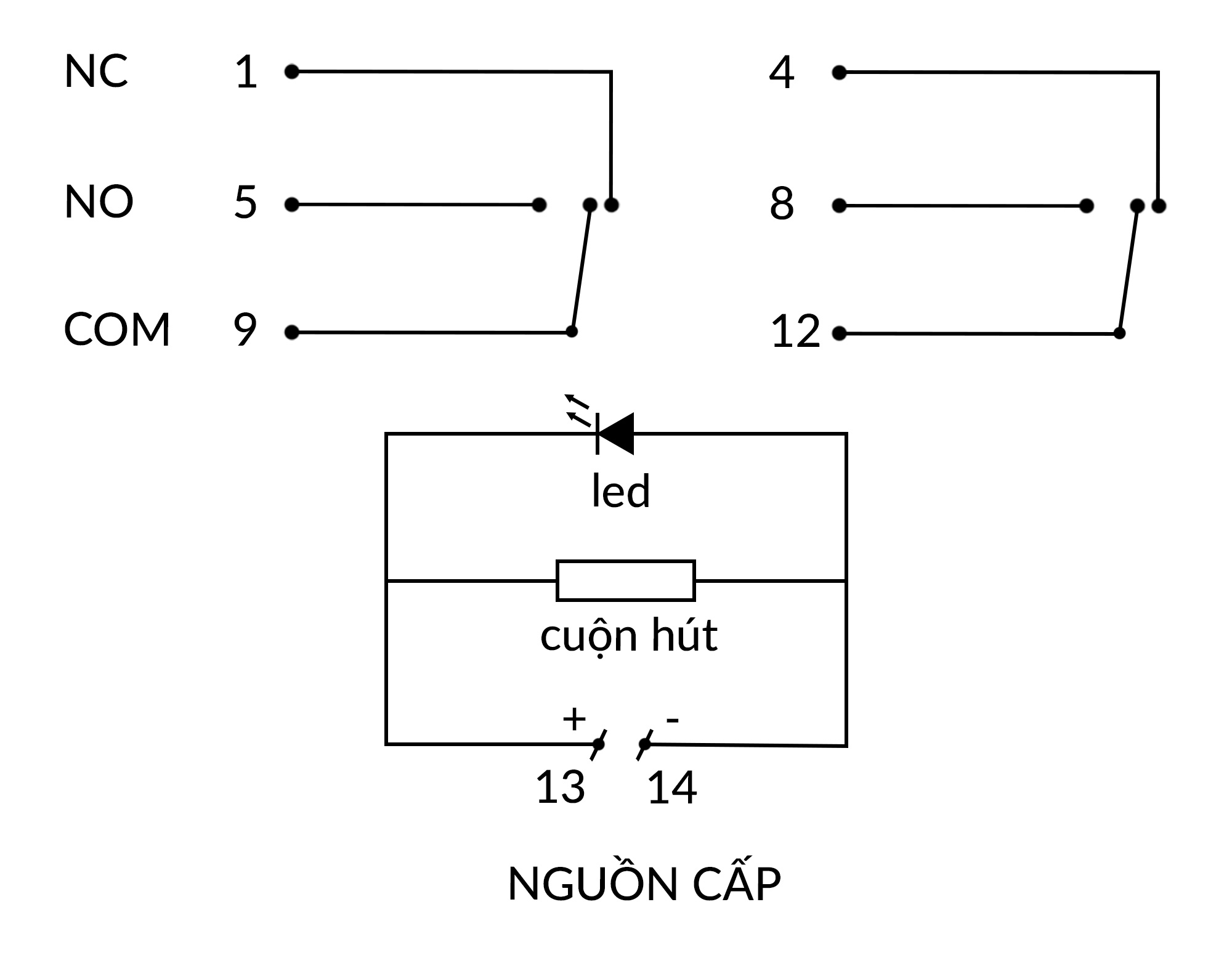 Relay trung gian HH52P