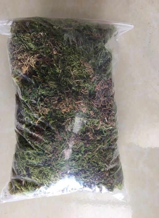 Rêu rừng trồng lan phơi khô 500gr