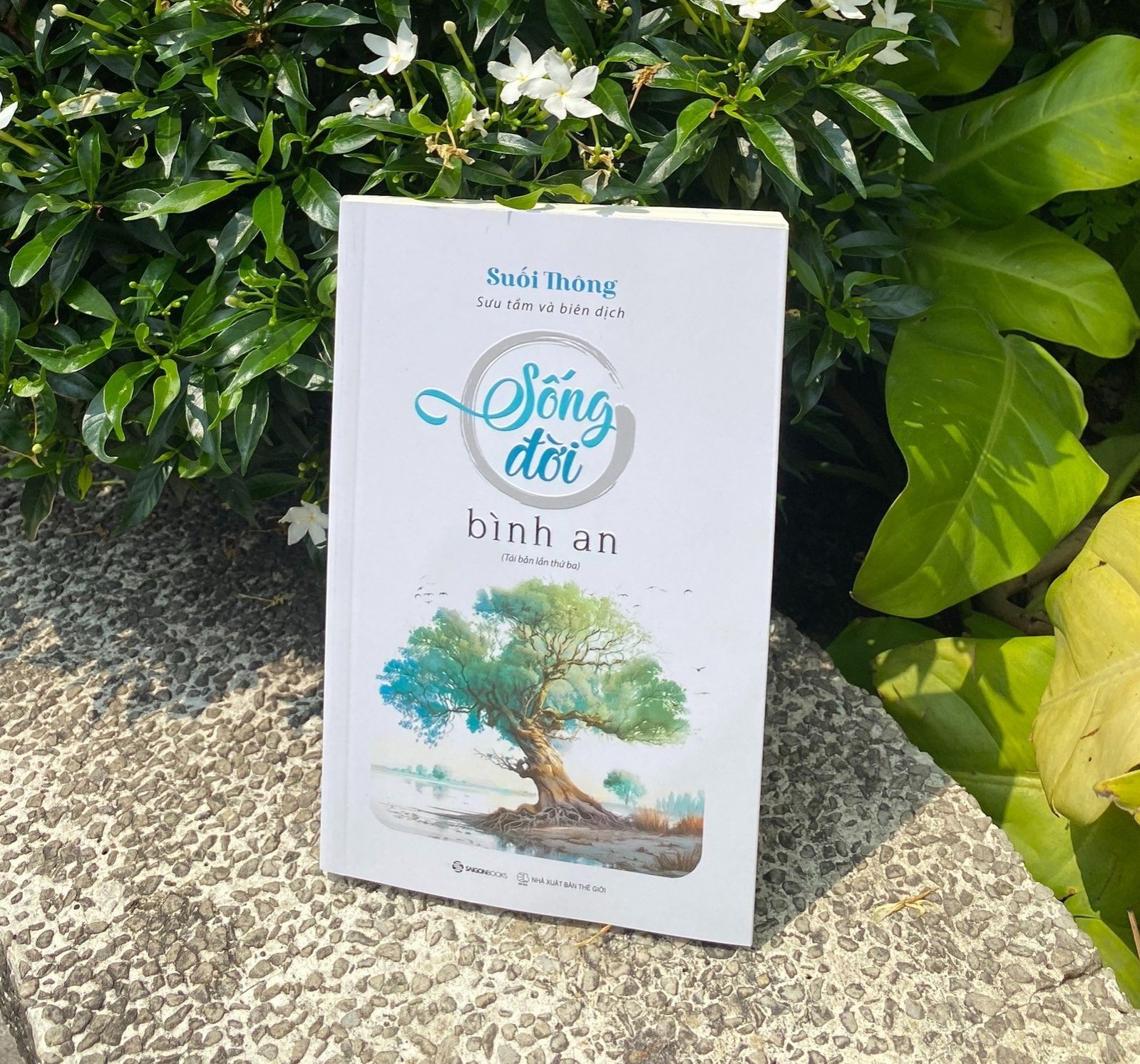 Sách - Sống Đời Bình An