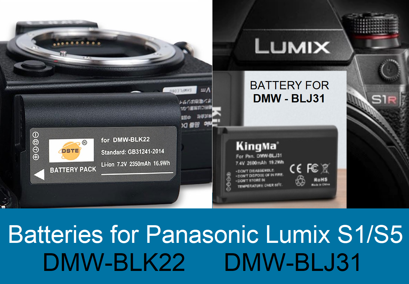 Pin Panasonic DMW-BCE10 cho máy ảnh LUMIX DMC-FS3 FS5 FS20 FX33S FX30A ...
