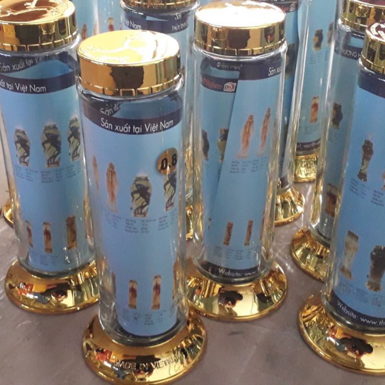 Bình Thủy Tinh PHÚ HÒA 6,8 lít