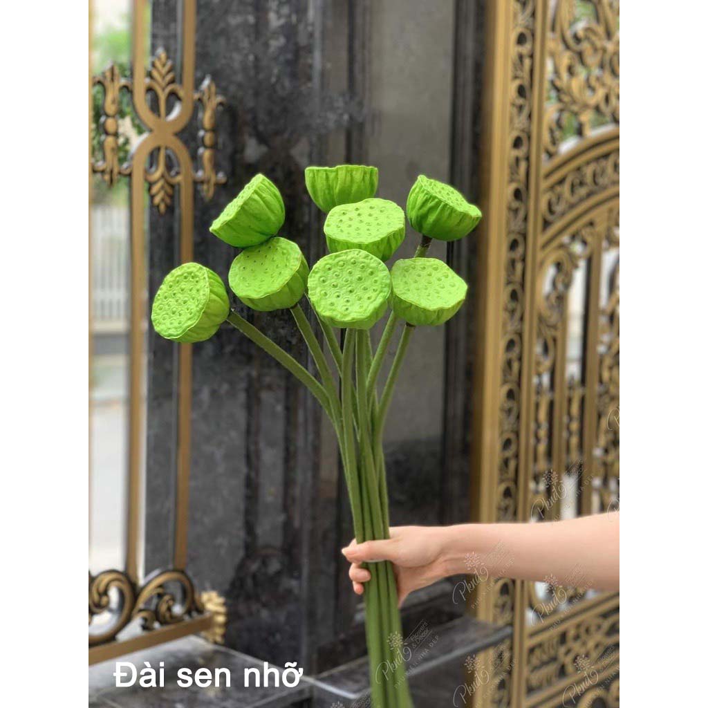 Đài Sen, Lá Sen, Nụ Sen Gương Sen Giả Trang Trí