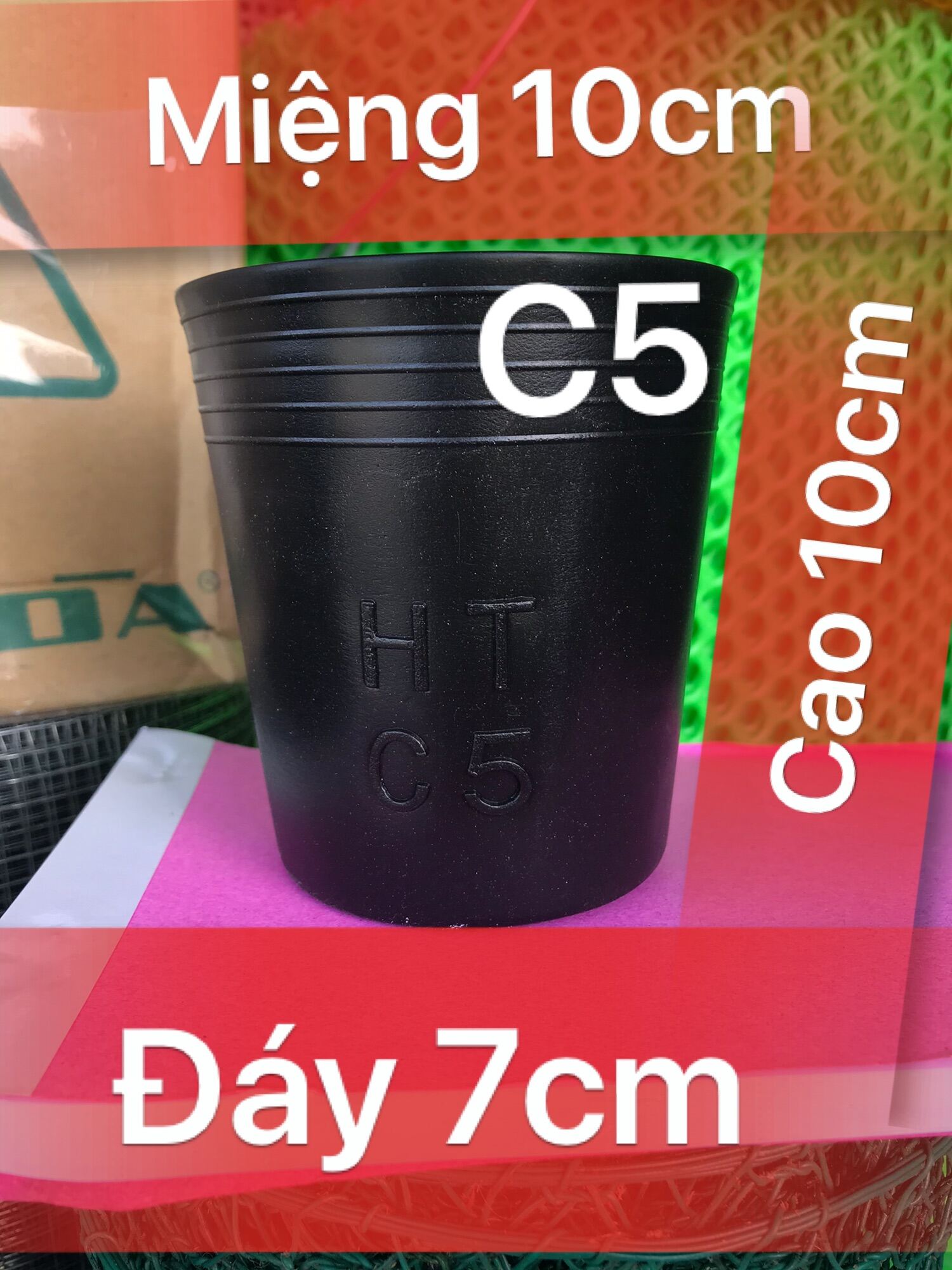 Chậu trồng cây, chậu ươm cây - combo 100 Chậu nhựa đen dày C5 ươm cây non