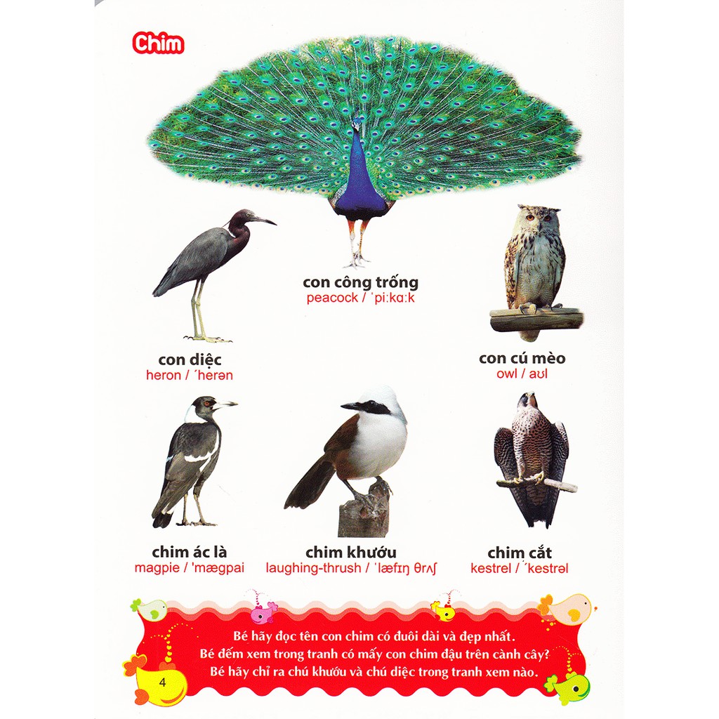 Sách- Từ Điển Tranh Về Các Con Vật (ML)