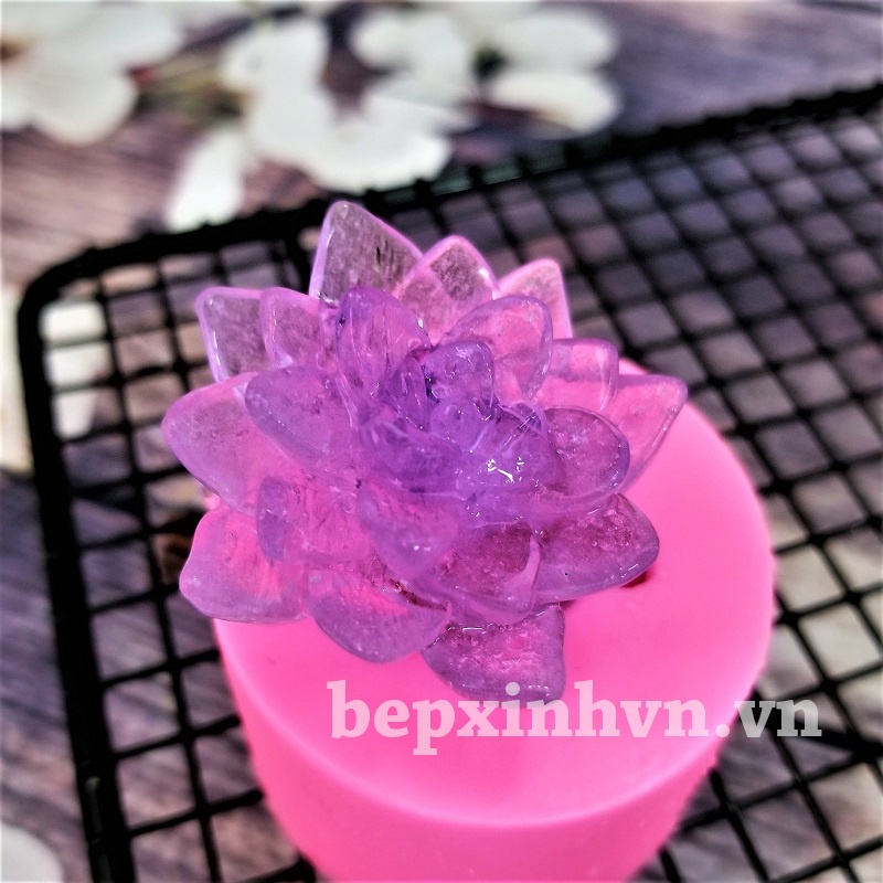 Khuôn silicon 4D sen đá cafe nhỏ