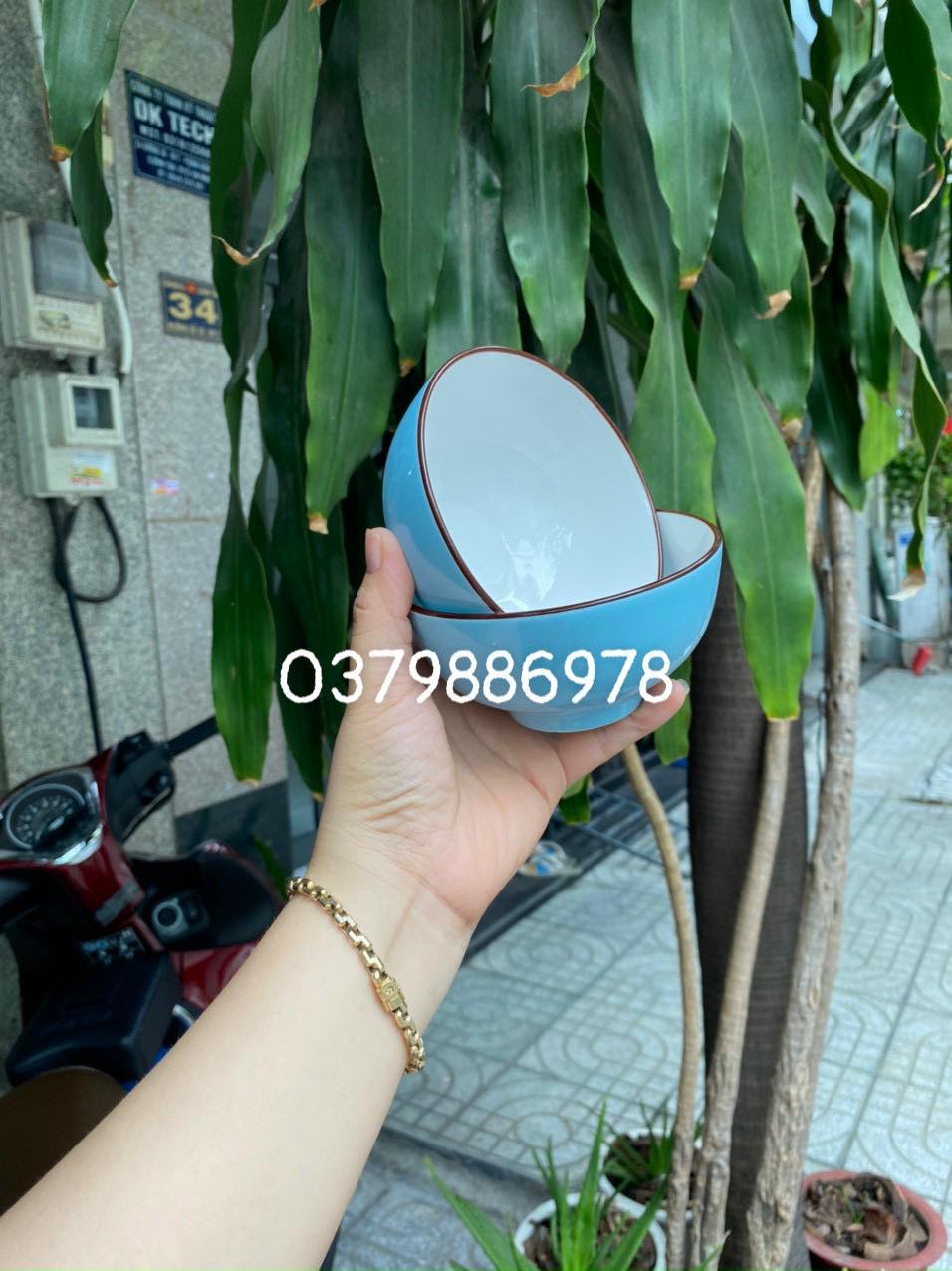 Bộ 10 chén sứ ăn cơm màu xanh pastel cao cấp
