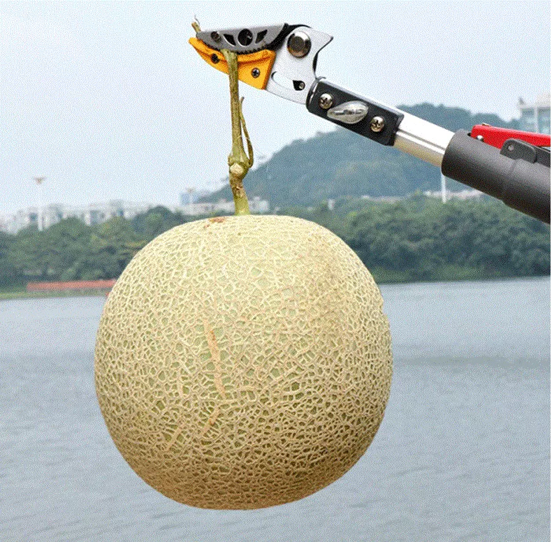 Kéo cắt cành trên cao