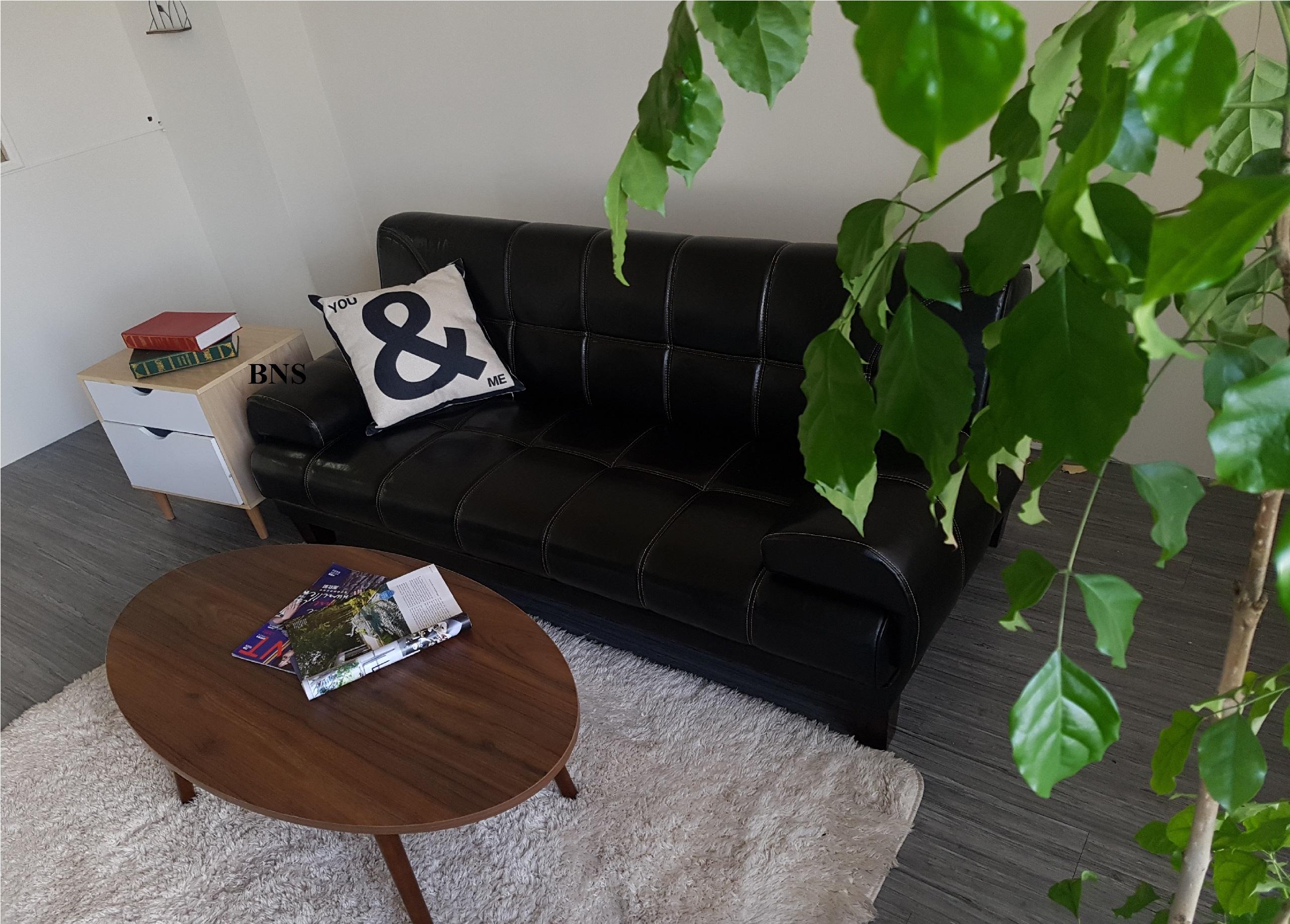 Sofa giường BN-Home 1809