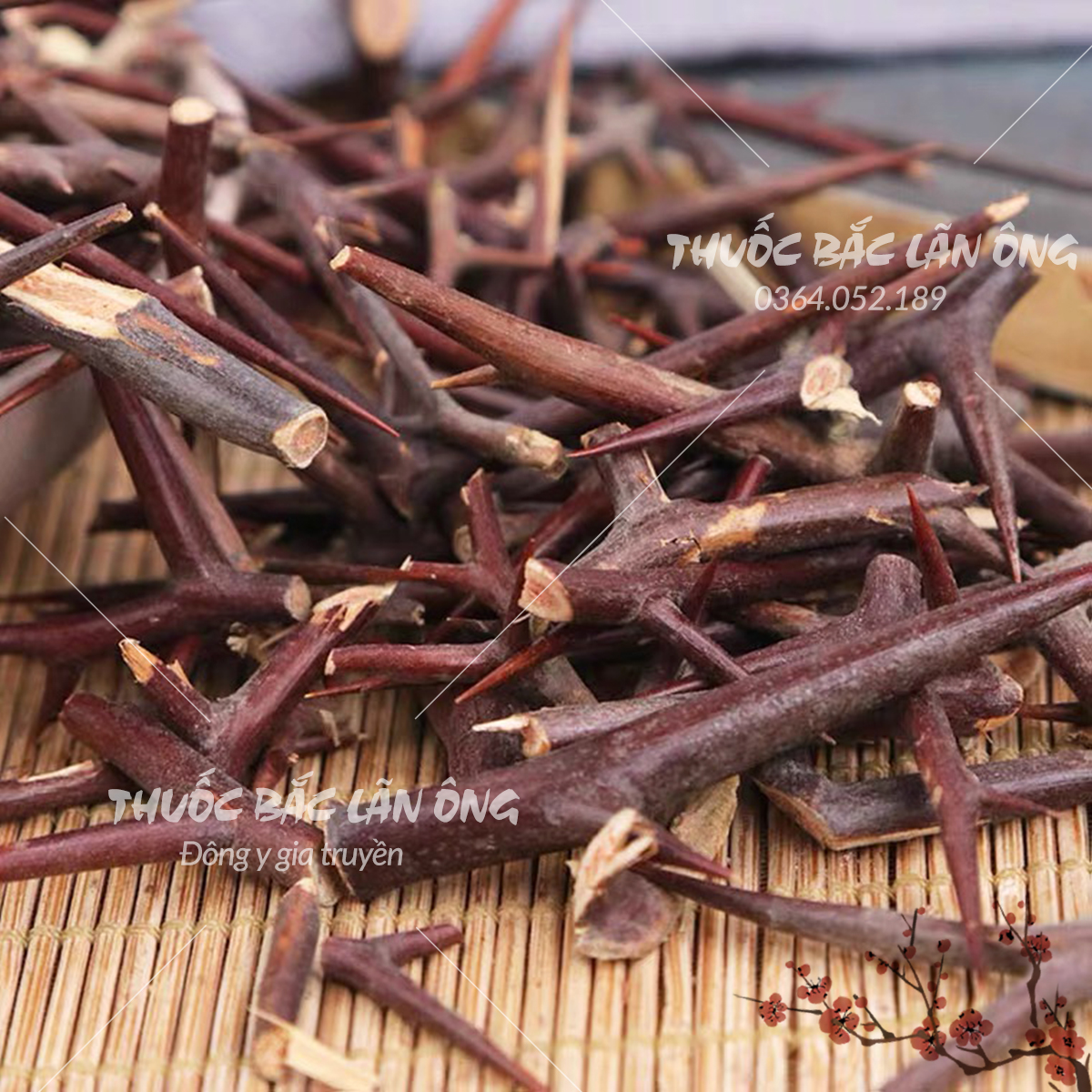 Gai bồ kết khô 500g (Tạo giác thích)