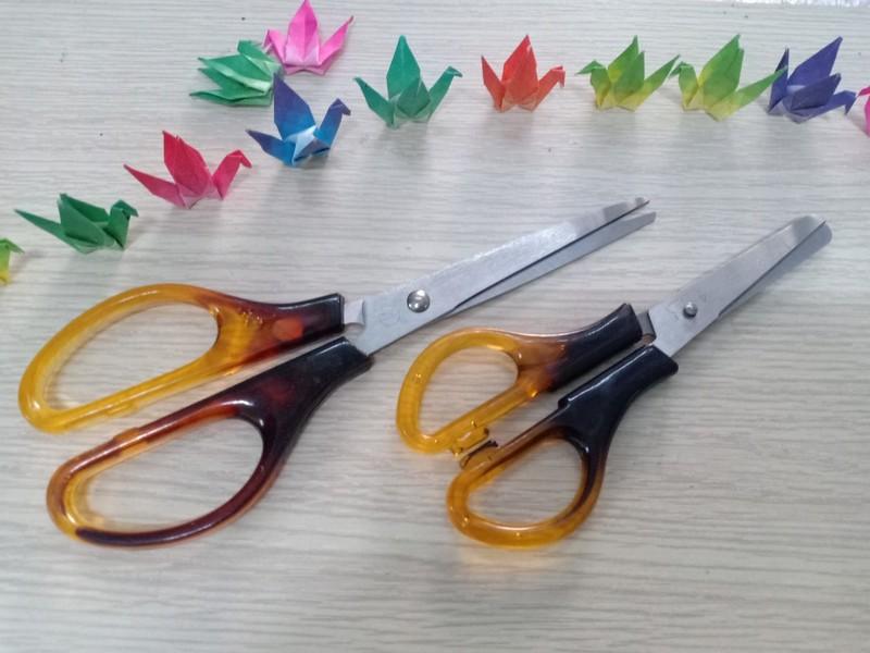 Kéo xà cừ nhỏ - 5 cây