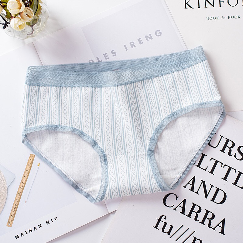 (FREESHIP) Combo 10 Quần Lót Cotton Kháng Khuẩn Cạp Ren