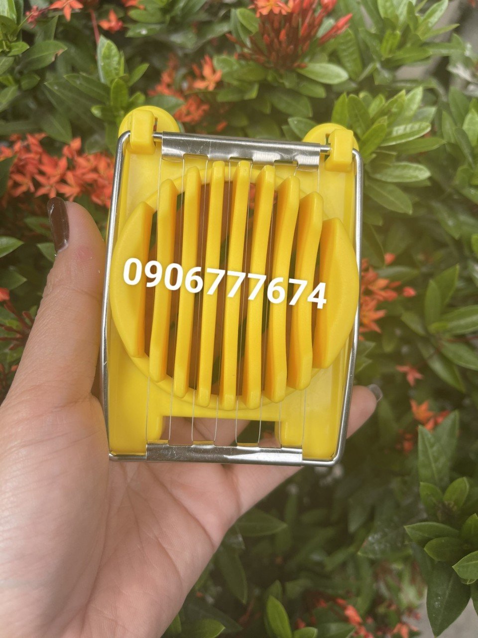 Dụng cụ cắt trứng luộc đẹp mắt