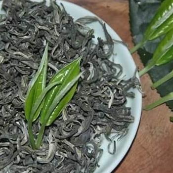 500g chè Shan tuyết cổ thụ