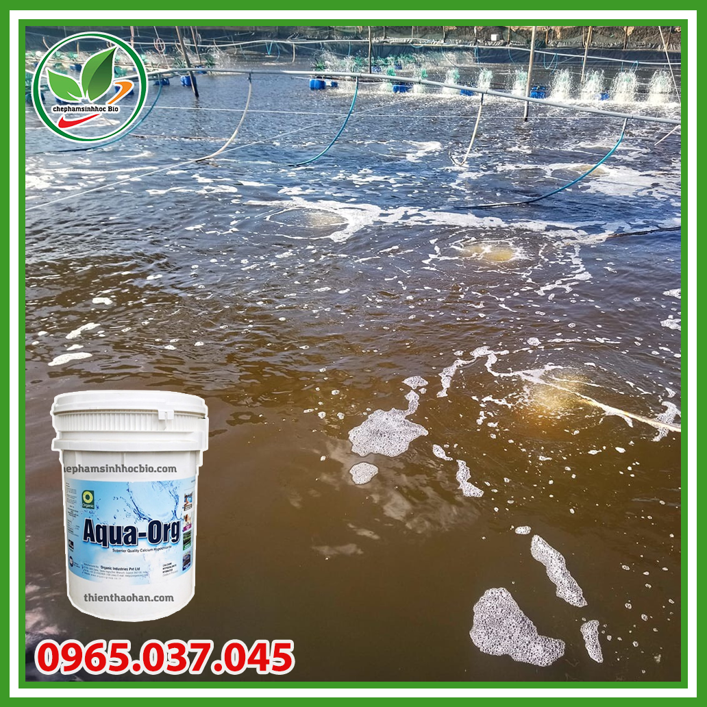 Bột hóa chất Clorin 70% Aqua ORG - Ấn Độ. Thùng 5kg