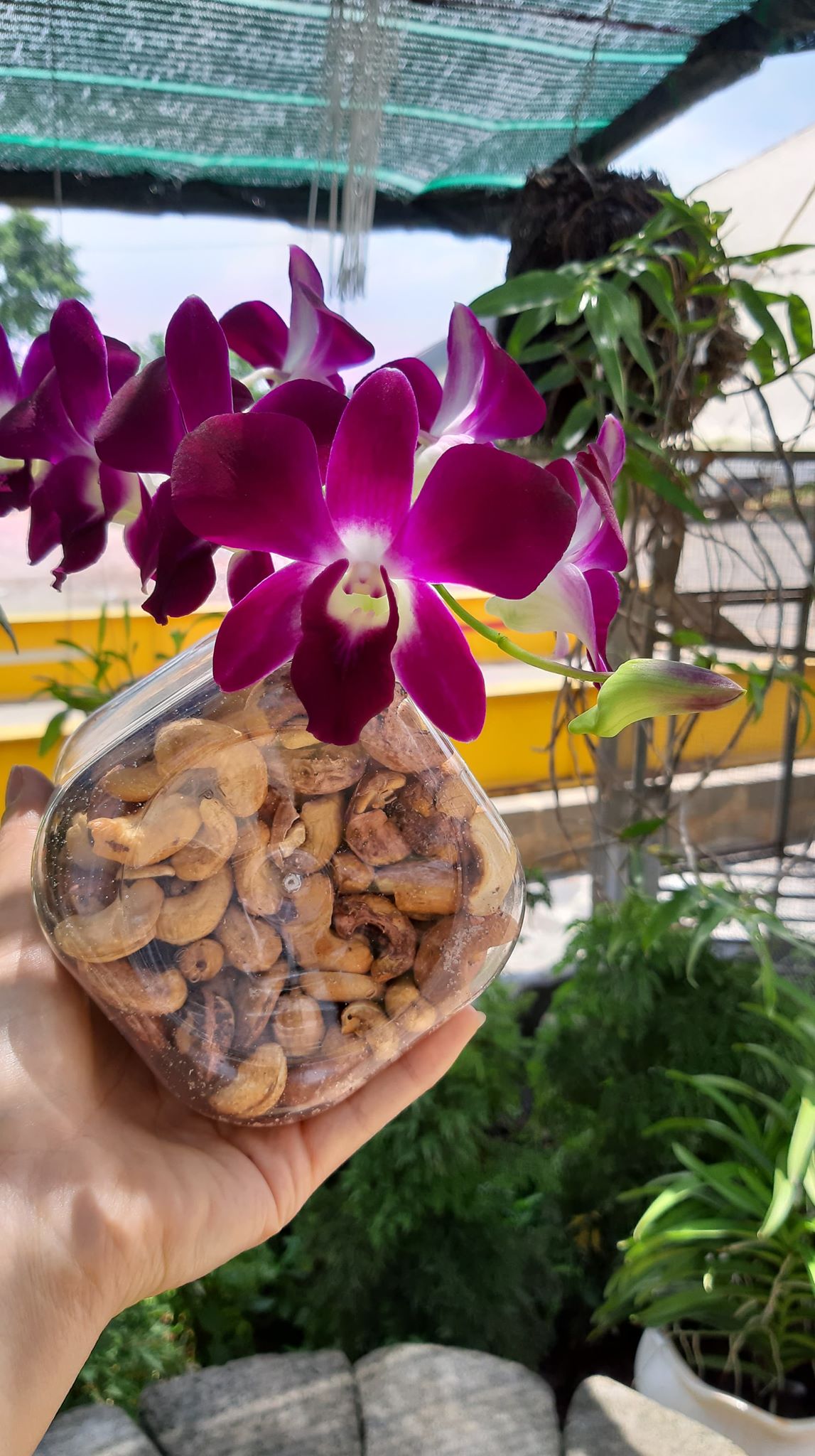 500G HẠT ĐIỀU RANG MUỐI NGUYÊN HẠT