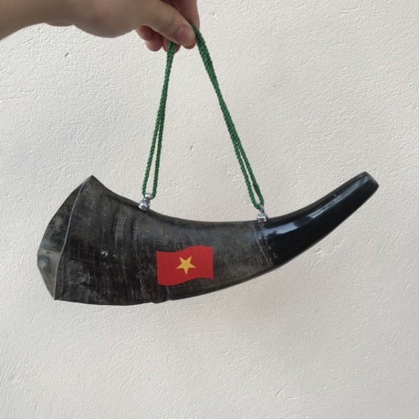 Kèn tù và sừng trâu đen - Cổ vũ tinh thần thể thao Việt Nam - Tiếng kêu rất vang