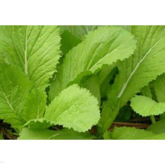 PHÂN BÓN NPK MINRO 15-5-20 (1KG) RA HOA, RA TRÁI