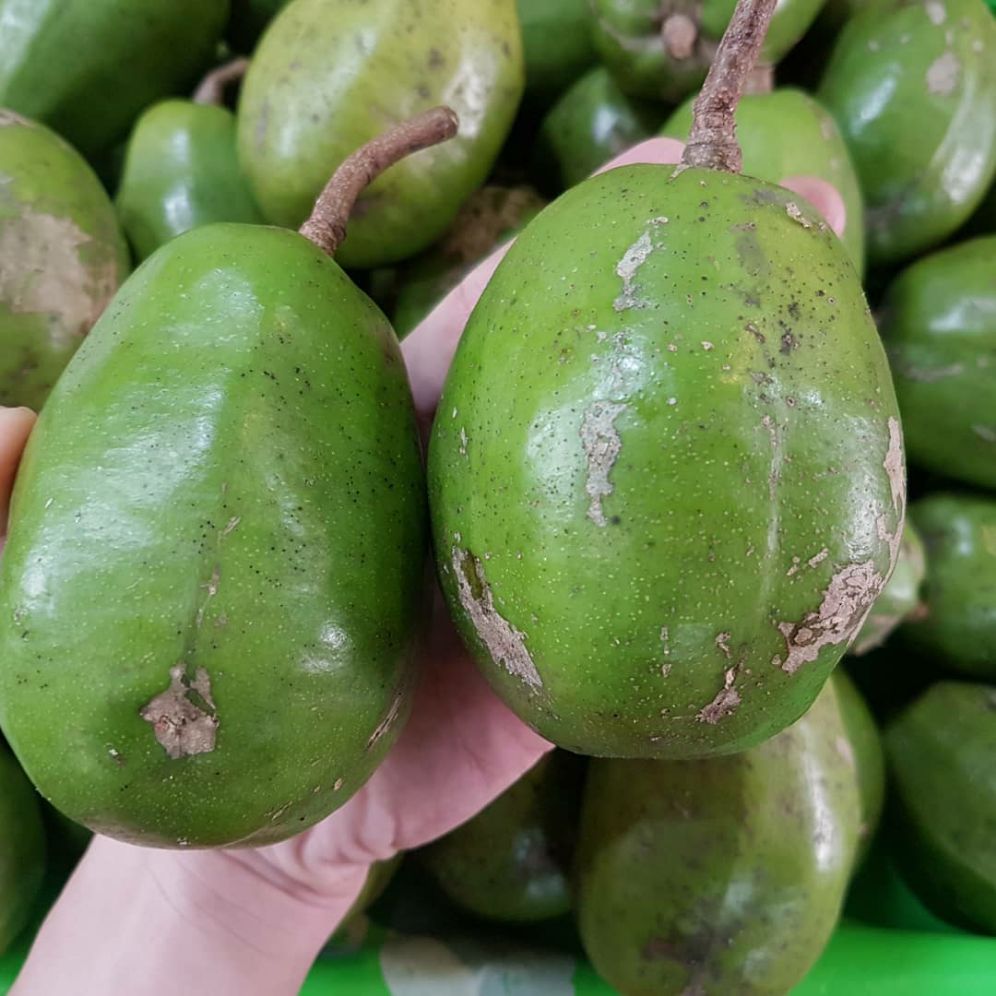 Cây giống cóc cầy, mặt hàng đang được săn đón