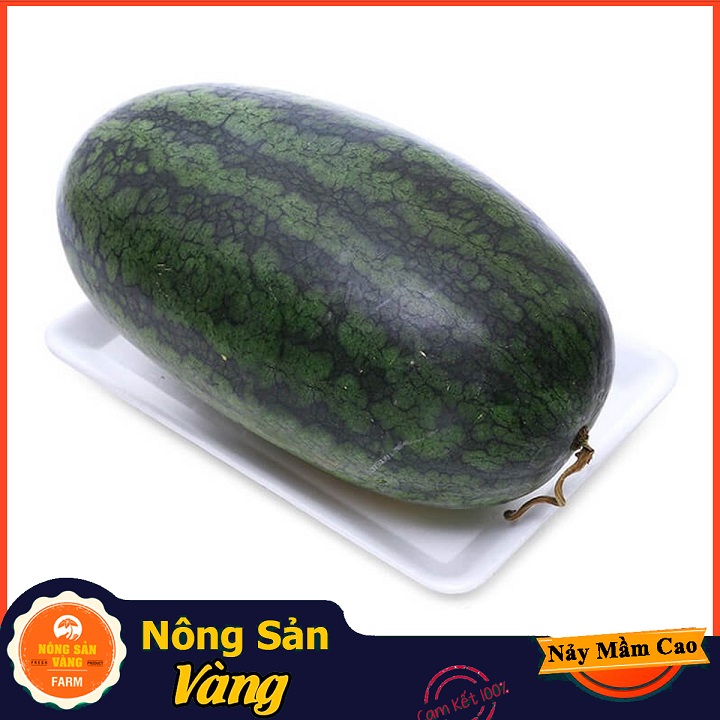 Hạt giống Dưa Hấu Vỏ Xanh Đen, Sọc Mờ, Siêu Ngọt, Ít Hạt (Gói 20 Hạt) - Nông Sản Vàng