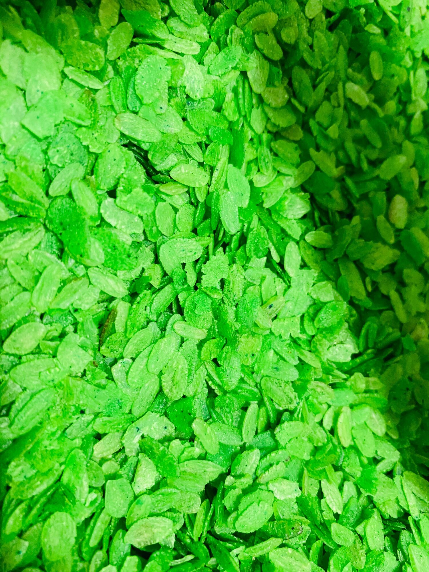 1kg cốm dẹp xanh cho Hamster & Sóc.