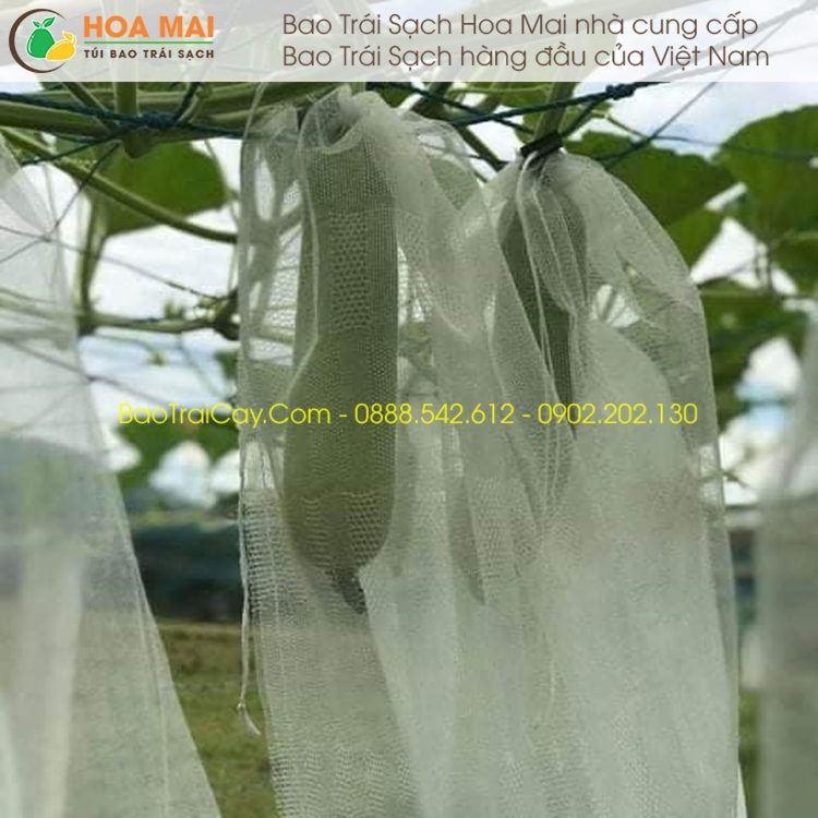 100 Túi bao mướp 15x50cm lưới mùng